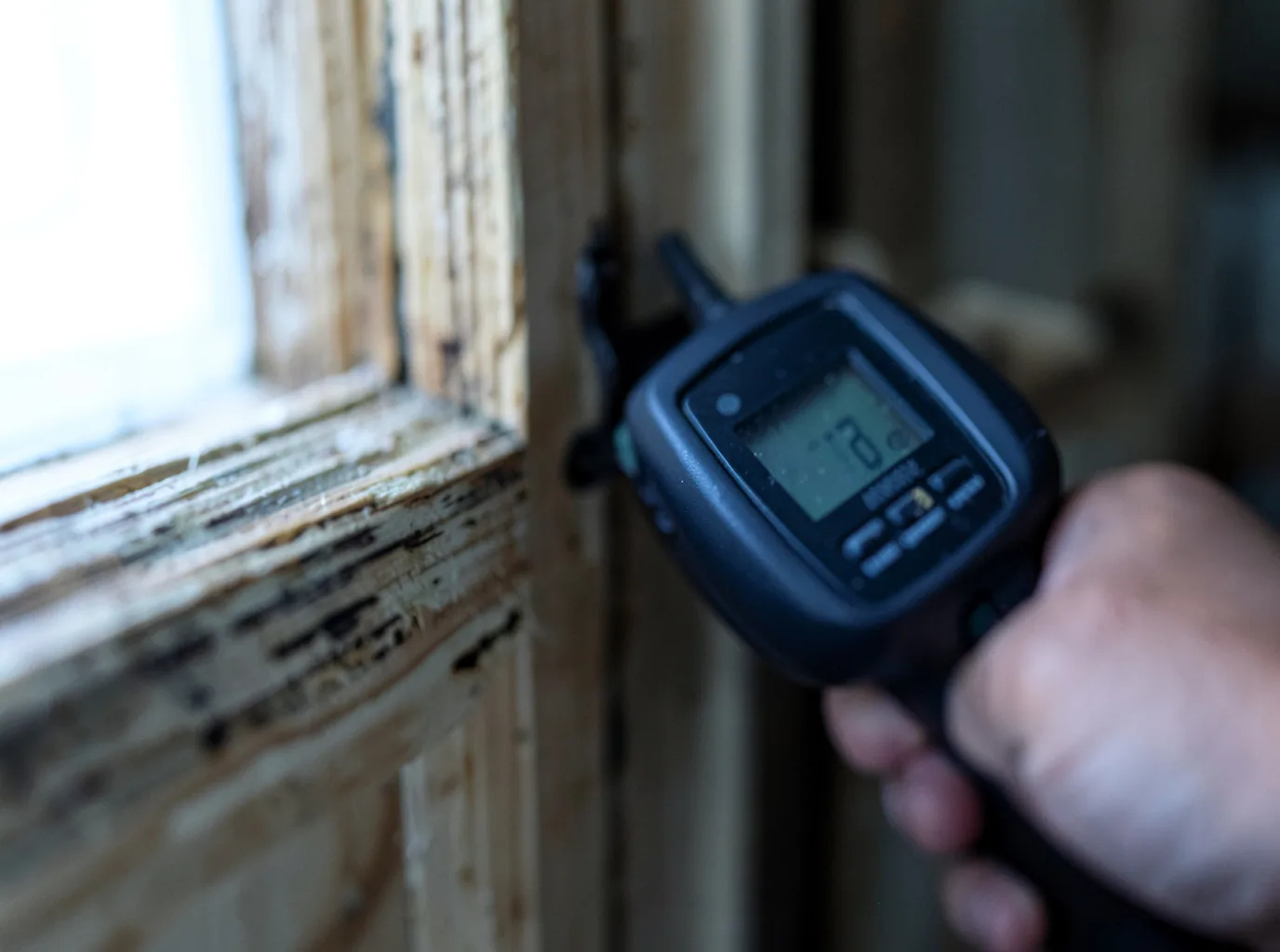 Moisture Inspection And Documentation in Glen Carbon, IL